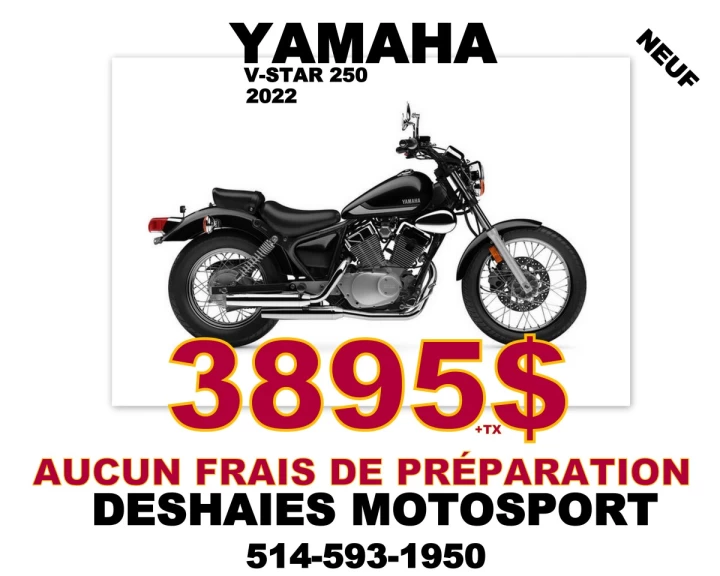 2022 Yamaha V Star 250 